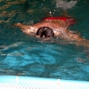 p1010003.jpg