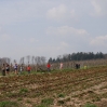 08 04 12 fb08 022.JPG