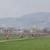 08 04 12 fb08 107.JPG
