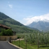 IMG_6275.JPG
