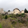 DSC_0851.jpg