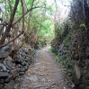 DSC_0856.jpg