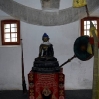 DSC_0863.jpg