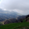 DSC_0876.JPG