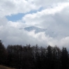 DSC_0892.JPG