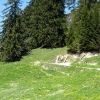 IMG_6501.JPG