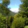 Bild004.jpg