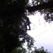 DSC00194.JPG