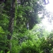 DSC00195.JPG