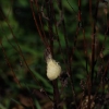 DSC_0005.JPG