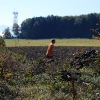 DSC_0022.JPG