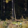 DSC_0056.JPG