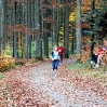 DSC_2223.JPG