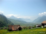 IMG_0330.jpg