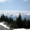IMG_0343.jpg