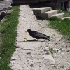 MVI_0235.jpg