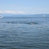 MVI_0663