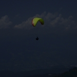 BLU2061