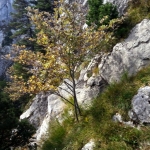 20121006_125214