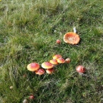 20121006_155538