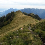 2013-08-24-11-14-32