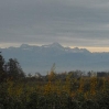 DSC_0240.JPG