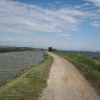 IMG_6555.JPG