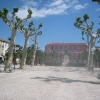IMG_6558.JPG