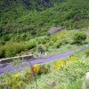 IMG_6575.JPG
