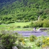 IMG_6577.JPG