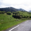 IMG_6599.JPG