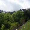 IMG_6603.JPG